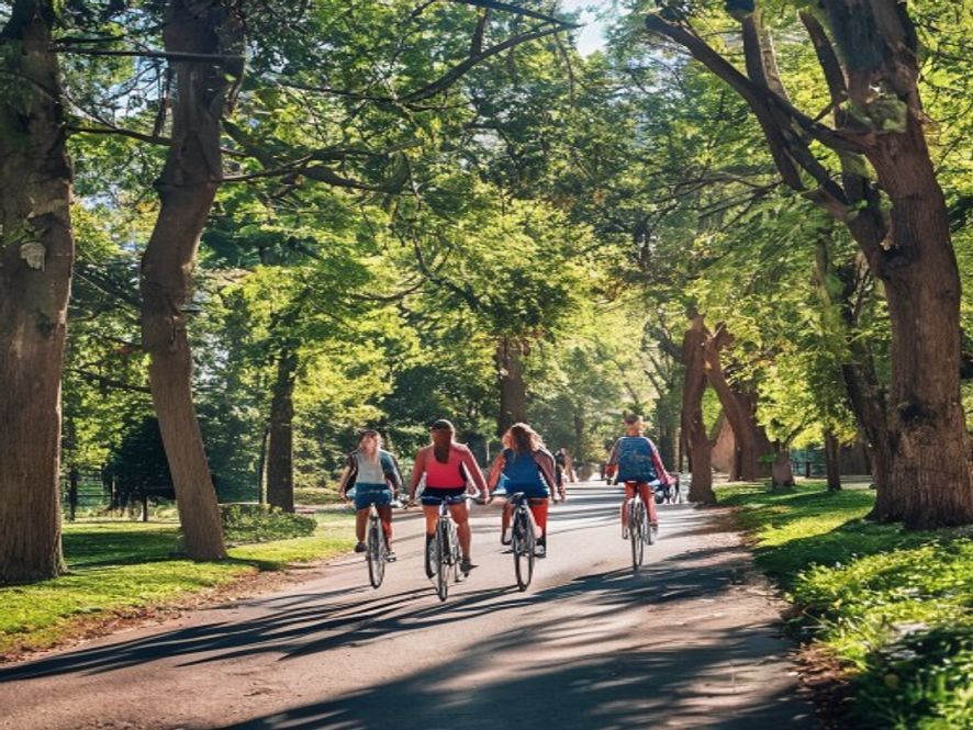 Cyclists riding through a sunny tree-lined path in a London park